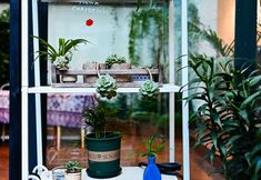 Others 4 Chunfeng Shili Homestay (Dali Ancient City Branch)