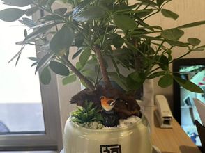 Others 4 Rujia Huayi Collection Hotel (Beijing Guomao Dawanglu Subway Station)