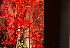 Others 3 Changsha Houshan Serenity Hotel