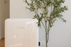 기타 BVB Youth Inn