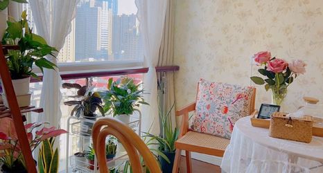 Others 2 Changsha Chenxi Garden Hotel Apartment (Wuyi Square No.1 Mansion)