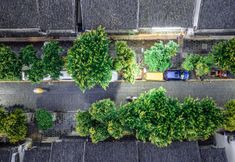 Others 4 Dali TomeInn LiBai Holiday Hotel