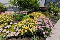 Others Xinyuan Dandan Shanshui Homestay