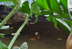 其他 3 Liubai Hot Spring Courtyard Homestay