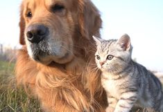 その他 5 Shanghai Bund Yiwan Hotel