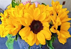 Others 6 Chunfeng Shili Homestay (Dali Ancient City Branch)