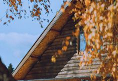 Lainnya 5 Hemu Huafangu Homestay