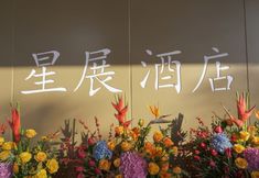 Lainnya 3 XING ZHAN HOTEL