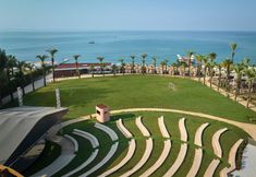 기타 4 Paloma Grida