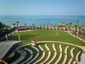 기타 4 Paloma Grida