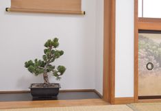 Lainnya 3 Green House 101