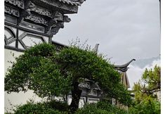 อื่นๆ 6 Pine Ravine Cottage