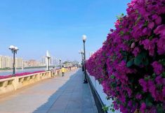 기타 7 Yilanduo Apartment (Guangzhou Pazhou Exhibition Center)