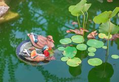 Others 3 Banshanwu Inn