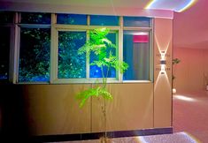 其他 3 Jiji Meizhu Hotel (Tangdu Hospital Fangzhicheng Subway Station)