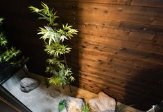 Others 7 JS xiaozhai・Shirayuki