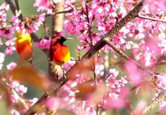 Lainnya 5 Nanjian Changshi Inn Accommodation