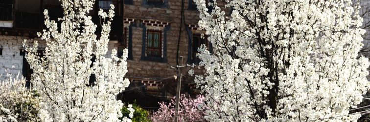 Others Shengdi Yingxiang Cultural Theme Hostel