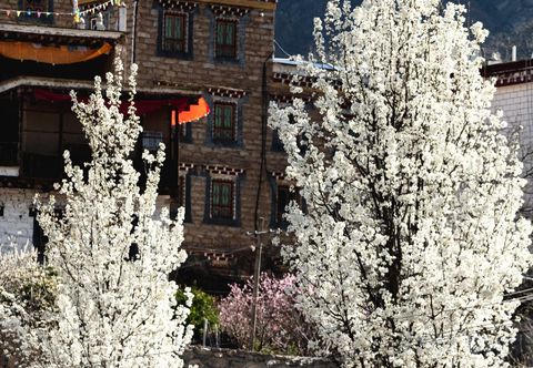 Others Shengdi Yingxiang Cultural Theme Hostel