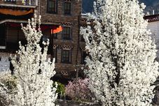 Others Shengdi Yingxiang Cultural Theme Hostel