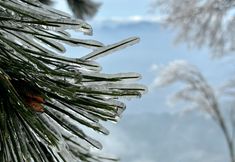 Lain-lain 2 Jingning Daxu Township Yunzhan Homestay