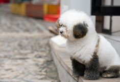 อื่นๆ 7 Ask Jiashan Mountain Beautiful Villa Homestay