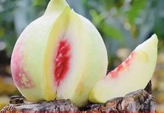 Lain-lain 6 cuihushanzhuang