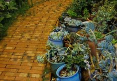 其他 4 Chengjiang Jiaheng Inn (Guanglong Town Branch)