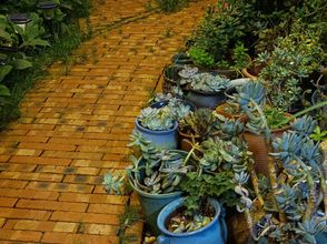 其他 4 Chengjiang Jiaheng Inn (Guanglong Town Branch)