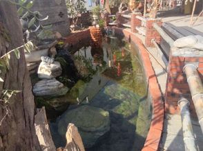 기타 4 SanqingNiulanwan Homestay