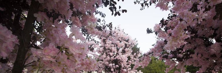 其他 Wenchengtian Shengyijing·Health Manor