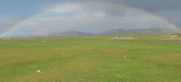 Khác 6 Jiayuanhuashu