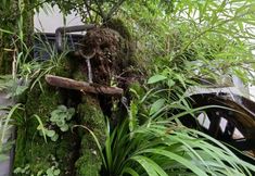 Lain-lain 2 FU HE YIN XIANG HOTEL