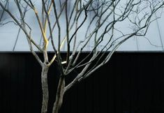 Khác 3 Roads Hotel Tsingcheng