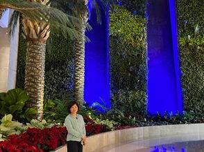 其他 4 Luxury 2 Bedrooms Okada View and Bayview Near Airports, Okada, Solaire, MOA