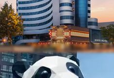 기타 5 Sophis Kaqiusha Hotel