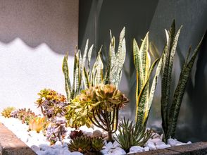 Lain-lain Kunming Jianjia Hotel