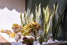 Lain-lain Kunming Jianjia Hotel