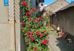 Others 4 Yangzhou Guke Homestay