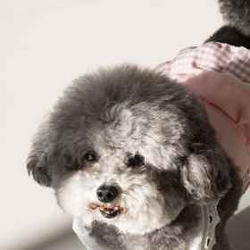 Hotel Exterior 1 MeiChenDaiShuiHe DesignerReaortB&B with full sea view, Shuanglang Ancient Town Hotels