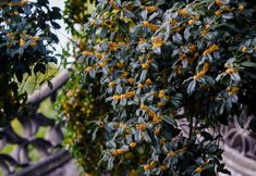 Others 6 Wanqing Zhenyuan Hotel