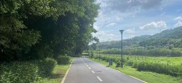 Others 6 Hetai Xilin Hotel (Luohu Xinxiu Subway Station)