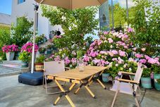 Lainnya Chestnut Shell Homestay