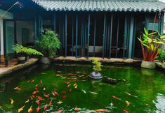 Others 6 The WeiMei B&B