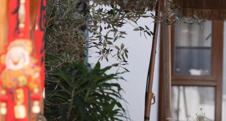 其他 2 Puff·Couryard Life Aesthetics Designer Meisu (Dali Ancient City Branch)