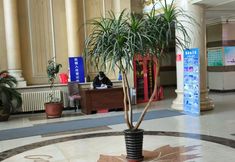 Others 5 Harbin Jinmei Fashion Inn