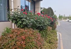 อื่นๆ 6 Anyan VIP Building Hotel