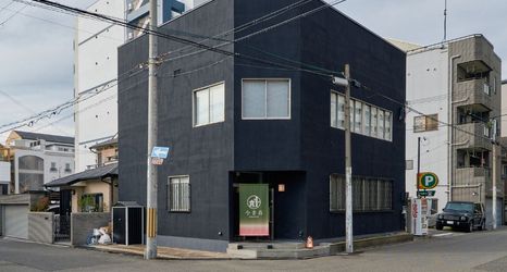 其他 2 KONJAKUSO Osaka Tempozan "SHOHAKU" Pine Tree