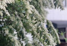 Others 7 My love is tendy hotel