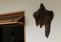 Khác 4 MUHE GLAMPING